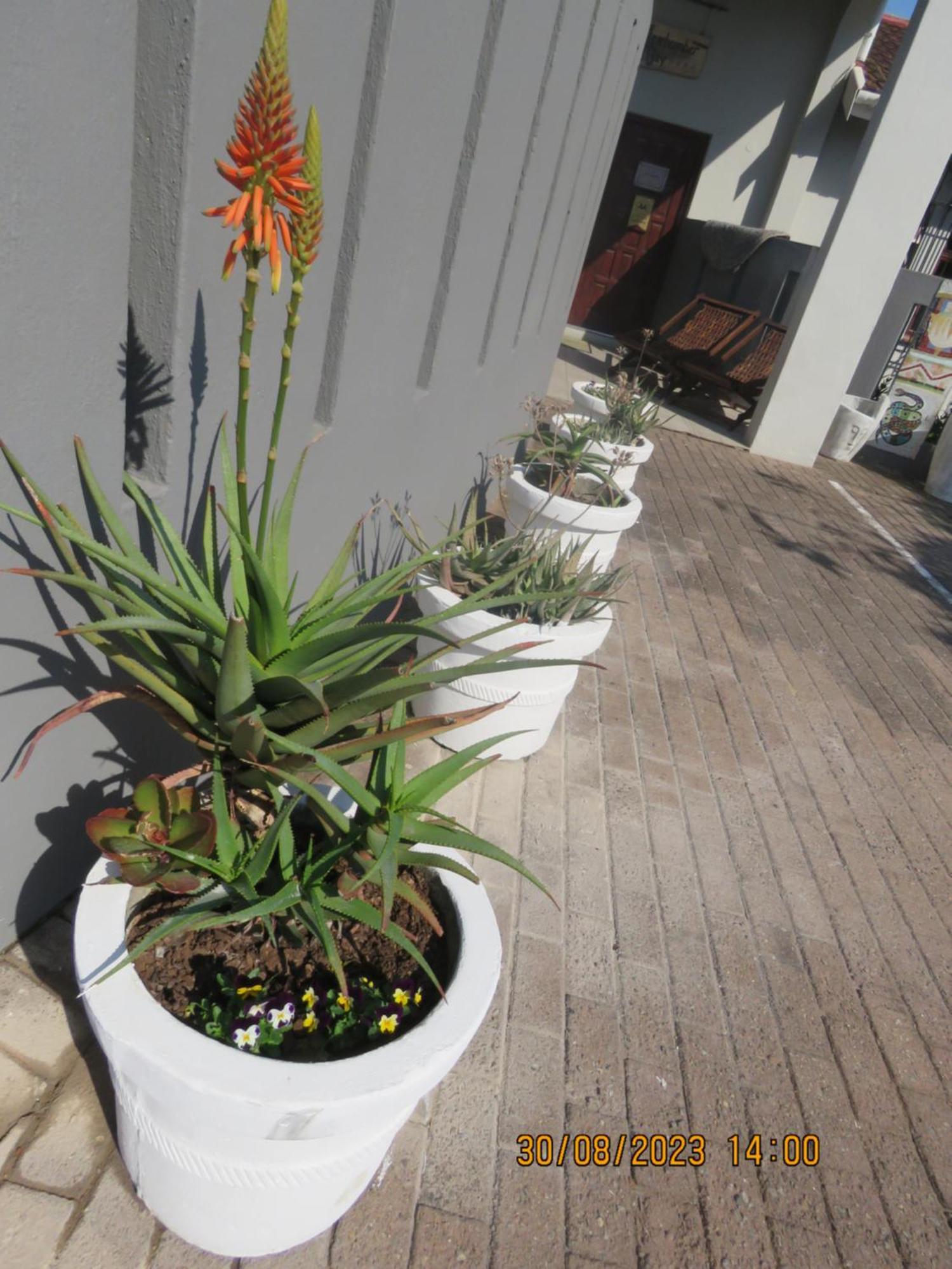 Beachcomber Bay Guest House In South Africa Margate Kültér fotó